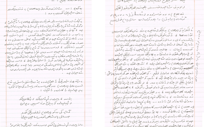 Picture15