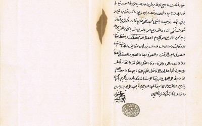 Picture19