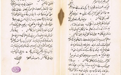 Picture20