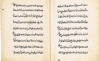 picture26