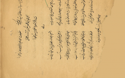 Picture21