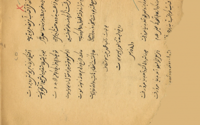 Picture25