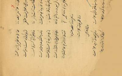 Picture29